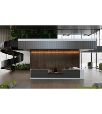 LINEA MIRÓ RECEPCIÓN