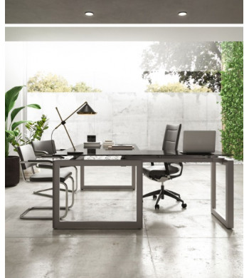 LINEA PRESIDENT METAL