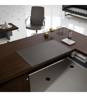 LINEA PRESIDENT MADERA