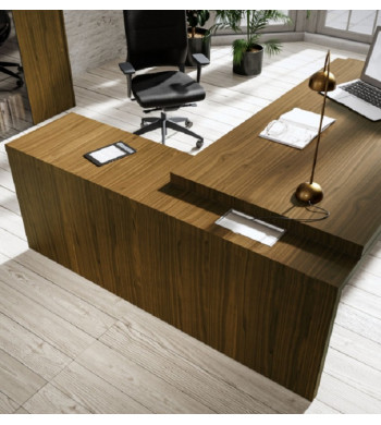 LINEA PRESIDENT MADERA
