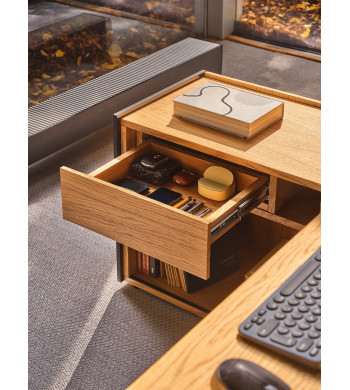 VIGA EJECUTIVO con armario lateral