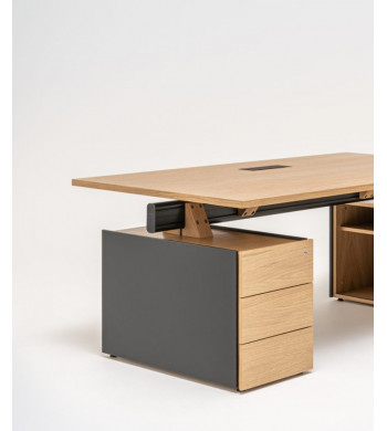 VIGA EJECUTIVO con armario lateral