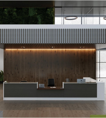 LINEA MIRÓ RECEPCIÓN