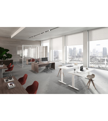 LIENEA EIDOS PRO SPACE